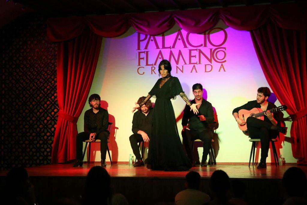 Palacio Granada: Espectáculo Flamenco