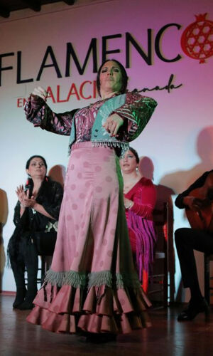 Palacio Granada: Espectáculo Flamenco