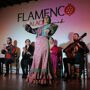 Palacio Granada: Espectáculo Flamenco