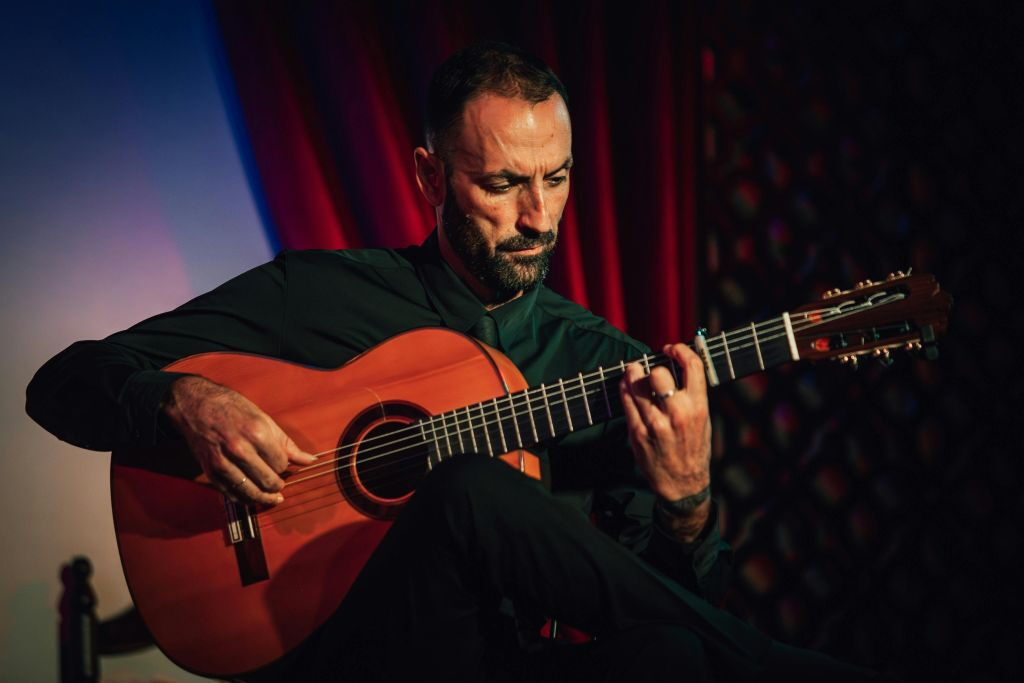 Palacio Granada: Espectáculo Flamenco