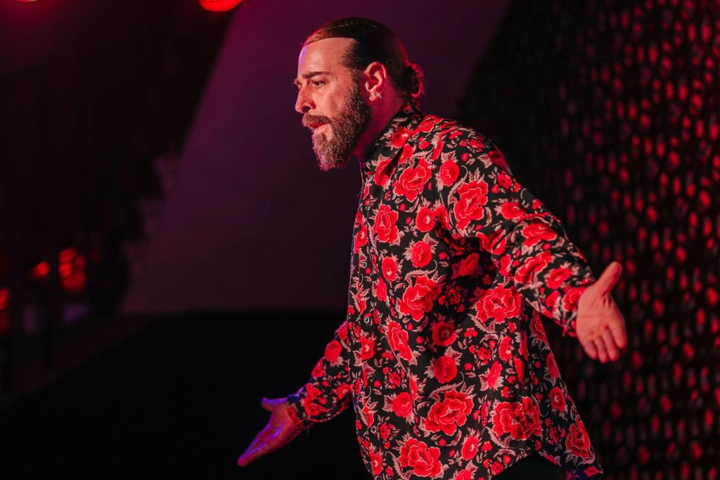 Palacio Granada: Espectáculo Flamenco