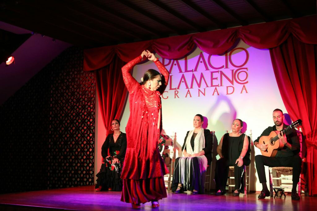 Palacio Granada: Espectáculo Flamenco