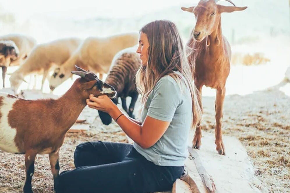 Aguilar de Segarra: One-Day Care Taker at Wild Forest Reserve Foundation
