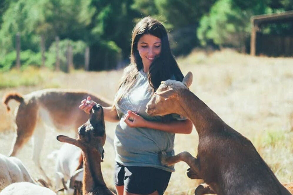 Aguilar de Segarra : Gardien d'un jour à la Fondation de la réserve forestière sauvage