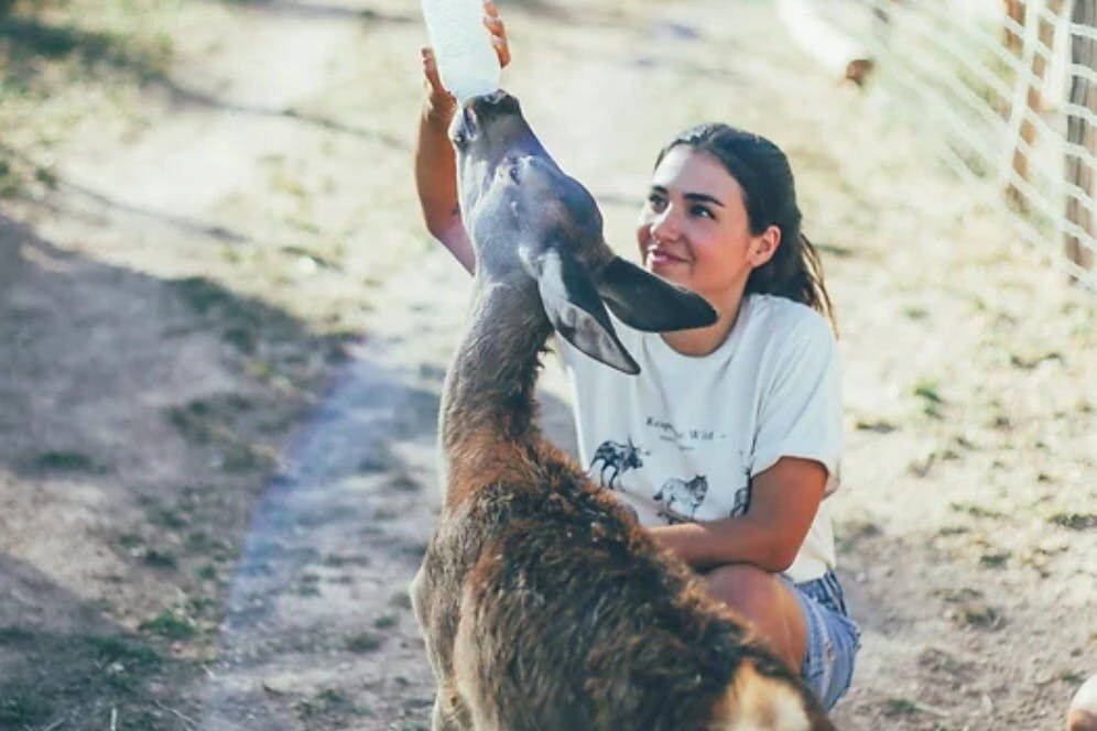 Aguilar de Segarra: One-Day Care Taker at Wild Forest Reserve Foundation