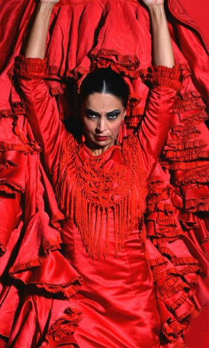 Teatro Flamenco Málaga: Espectáculo Flamenco