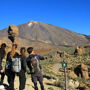 Tenerife: Visita guiada de meio dia ao Parque Nacional do Teide