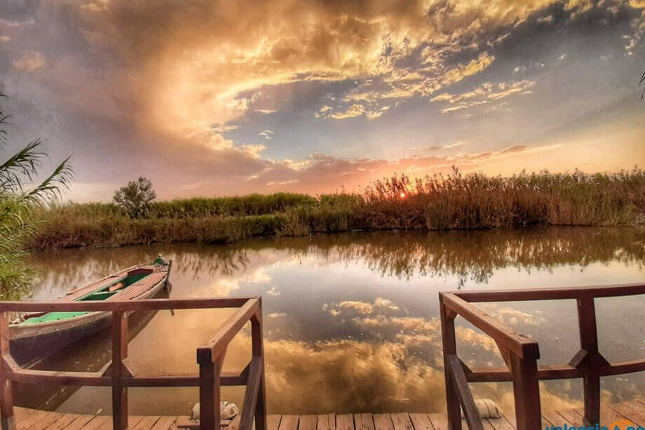 Albufera : Excursion guidée d'une journée depuis Valence + promenade en bateau