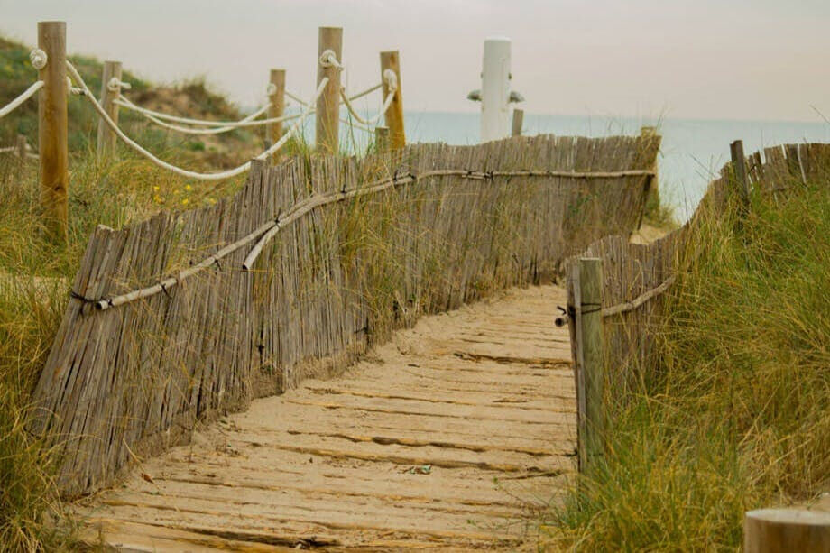 Albufera: excursão guiada de um dia saindo de Valência + passeio de barco