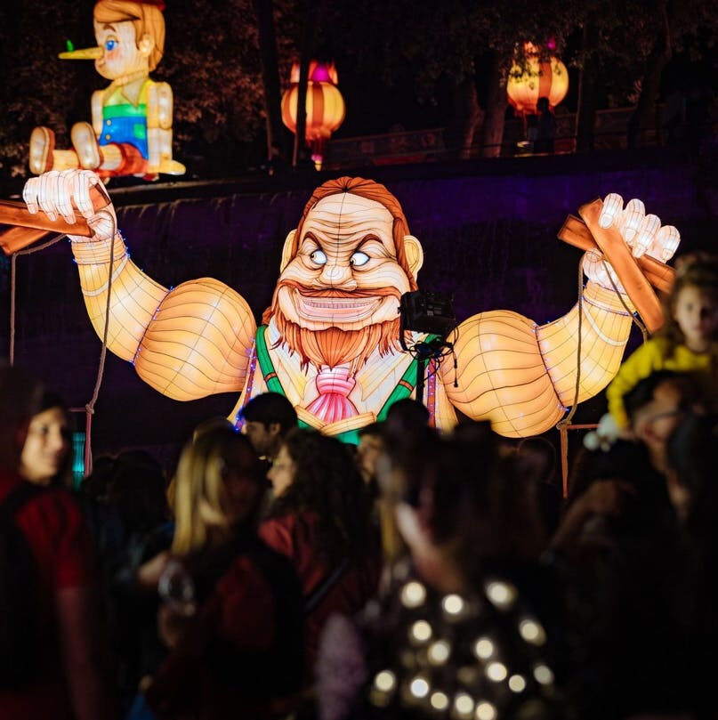 Pinocchio: Back To Wood