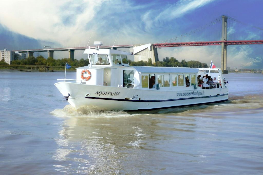 Bordeaux: cruzeiro fluvial guiado + bebidas