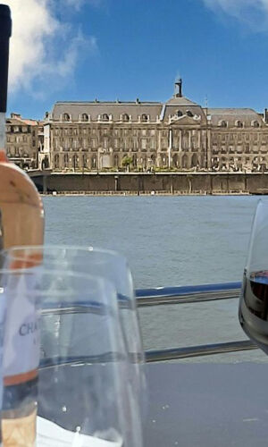 Bordeaux: Crociera fluviale guidata + bevande