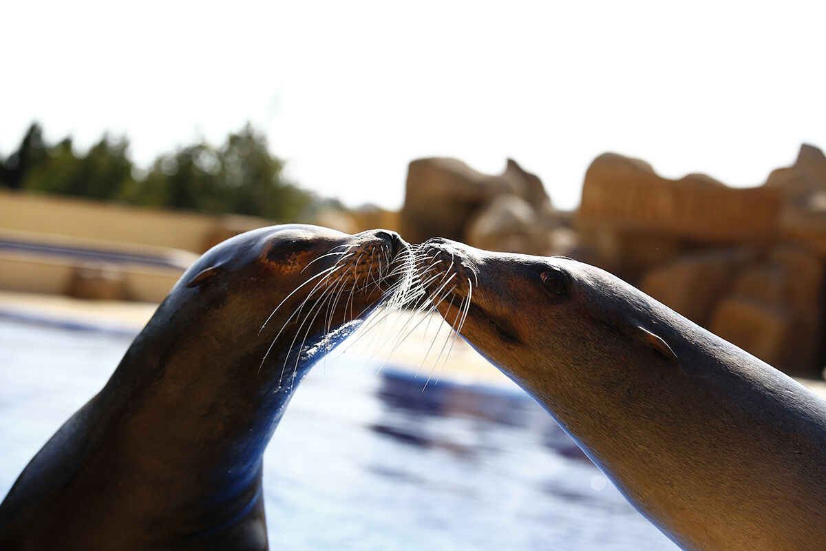 Marineland Catalunya
