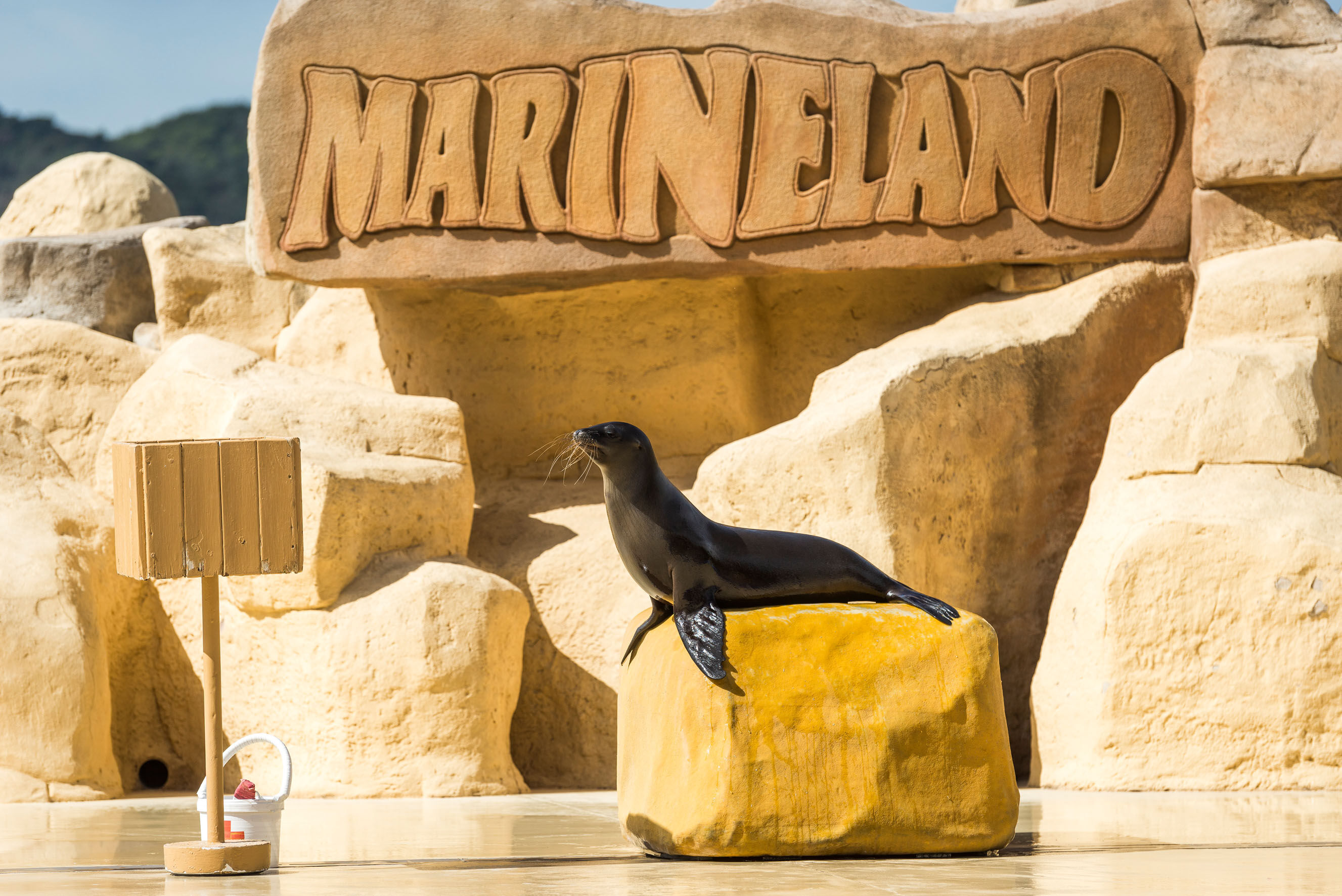 Marineland Catalunya