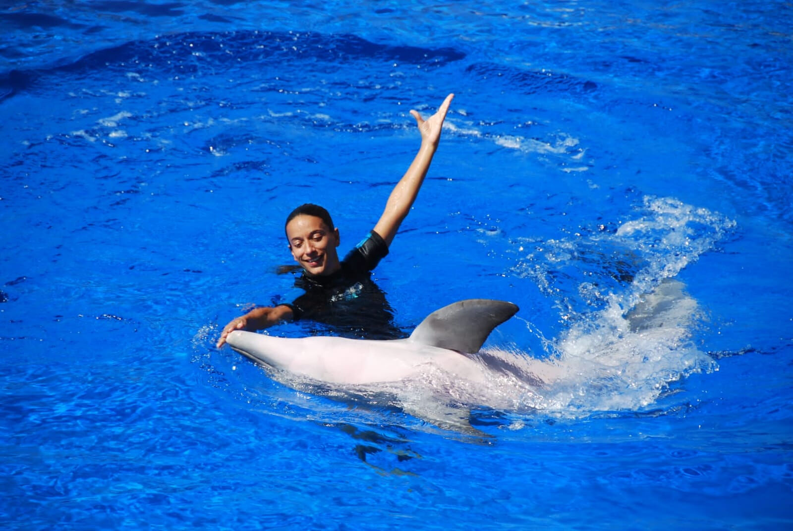 Marineland Catalunya