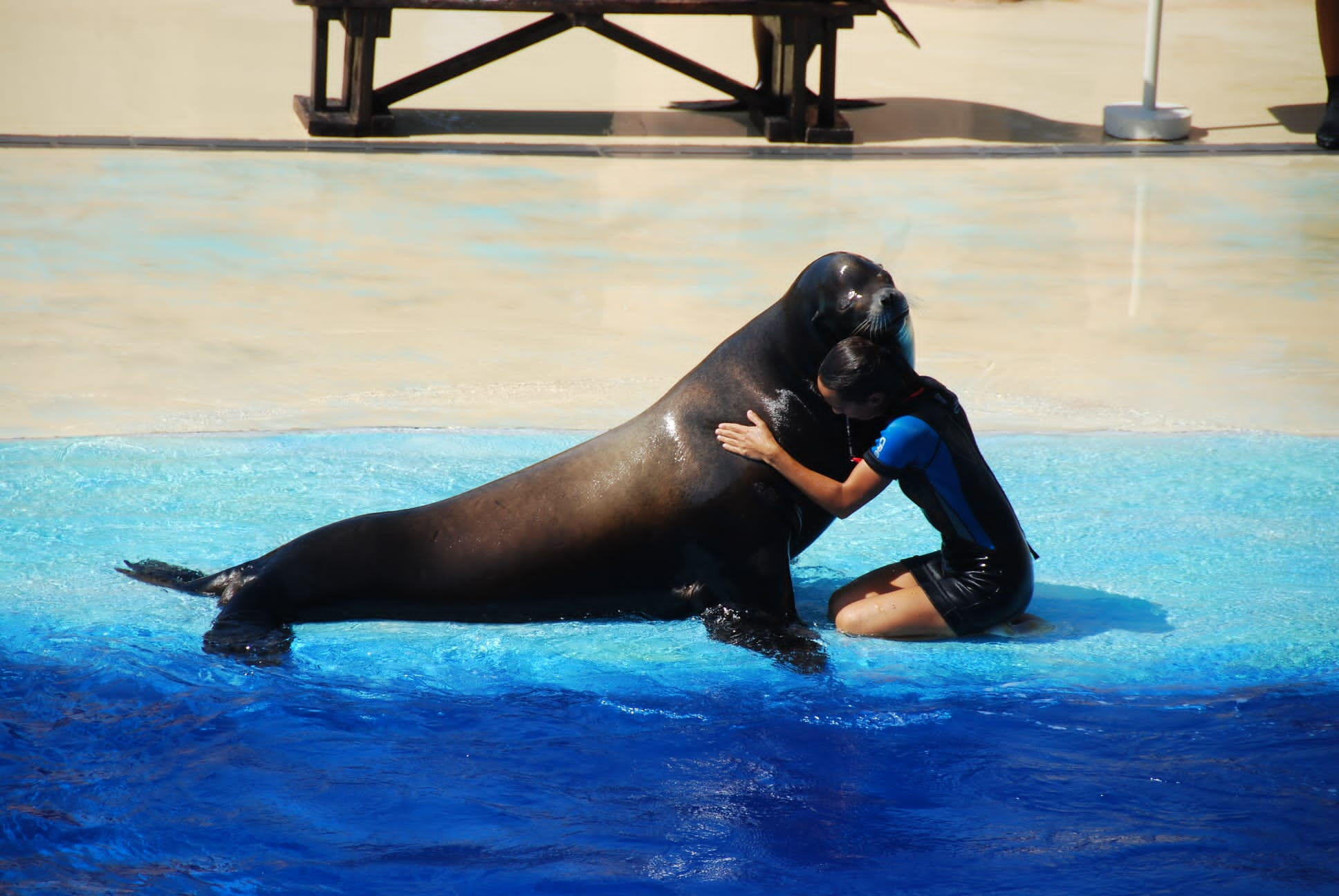 Marineland Catalunya