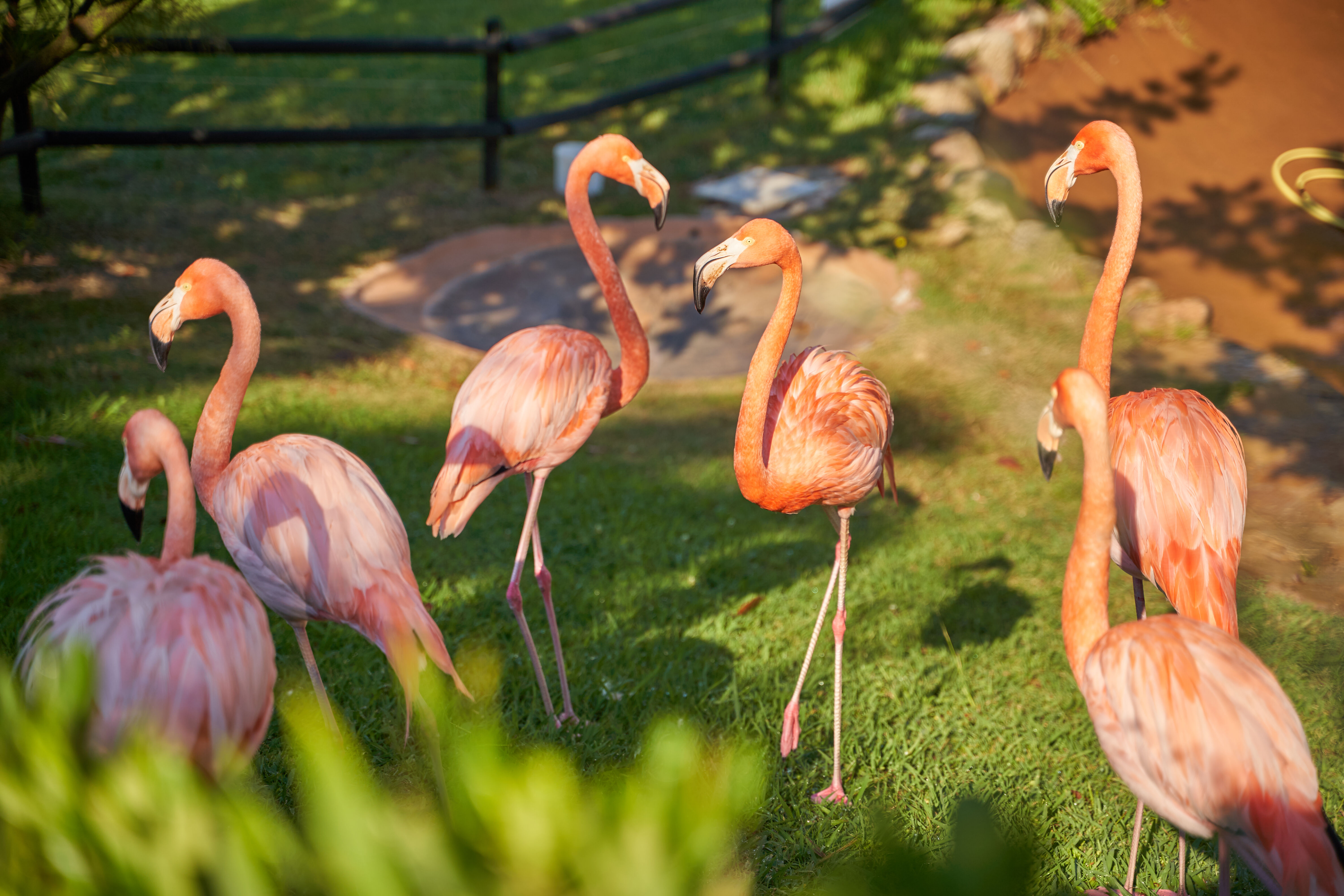 Marineland Catalunya