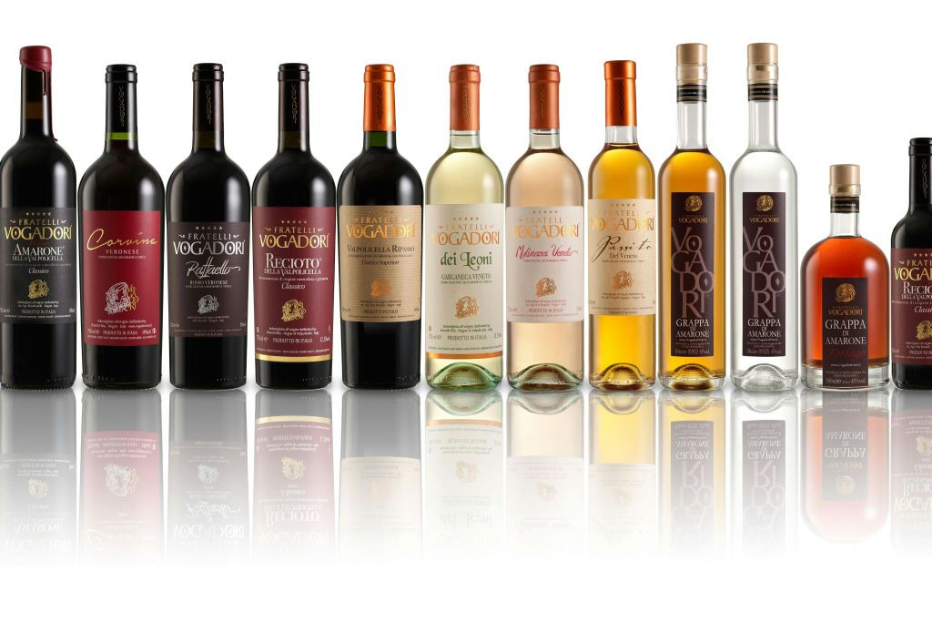 Cantina Fratelli Vogadori: Experiencia de cata de vinos Valpolicella