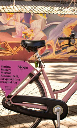 Barcelona: Guided Street Art Bike Tour
