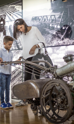Museu Terra