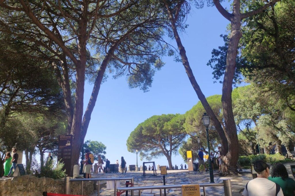 Castelo de São Jorge : billet d'entrée + visite guidée en anglais ou en espagnol