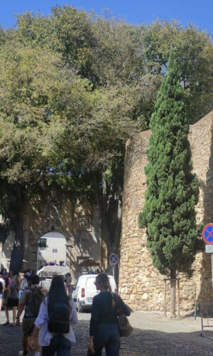 Castelo de São Jorge: Entrada + Visita guiada en inglés o español