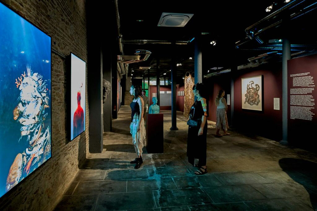 Museo NOU: Entrada Exposición SUR PLAY