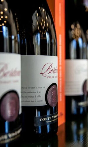 Cantina Conte Vistarino: Visita guidata e degustazione