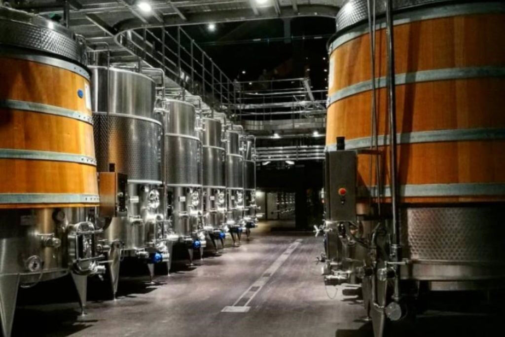 Cantina Conte Vistarino: Visita guidata e degustazione