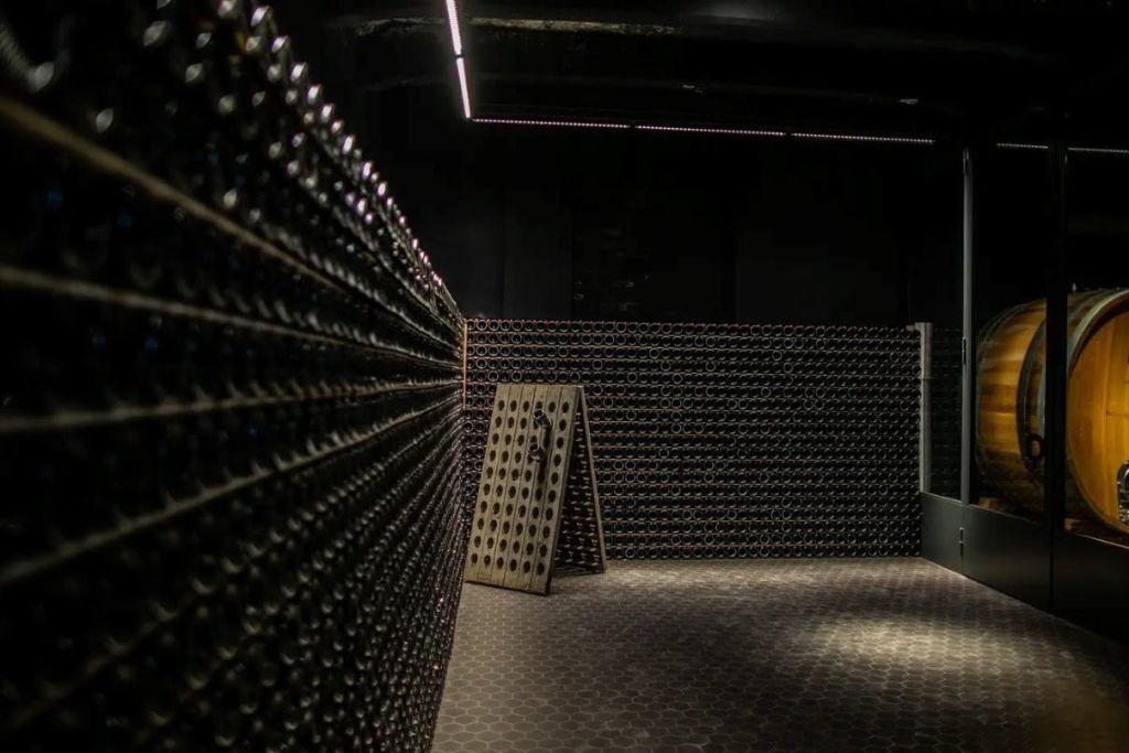 Cantina Conte Vistarino: Visita guidata e degustazione