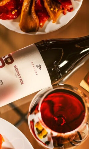 Cantina Moscone: Tour e degustazione della cantina