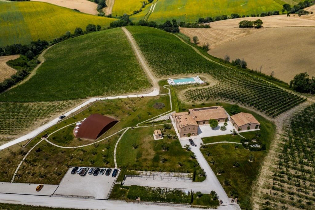 Domaine viticole Filodivino : Visite guidée et dégustation de vin