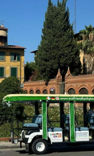 Pisa: Tour guidato della città in auto elettrica panoramica