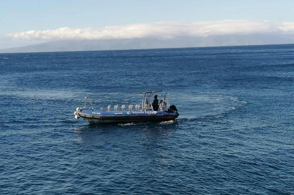 Punta De Teno: Passeio de barco de Los Gigantes + mergulho com snorkel + bebidas