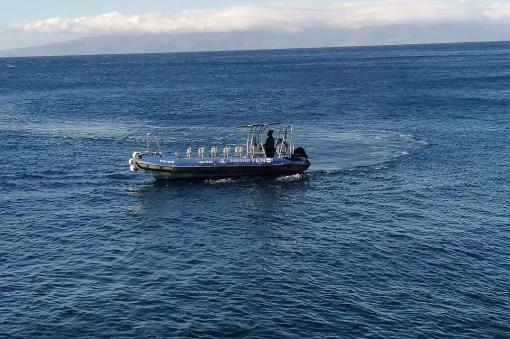 Punta De Teno: Passeio de barco de Los Gigantes + mergulho com snorkel + bebidas