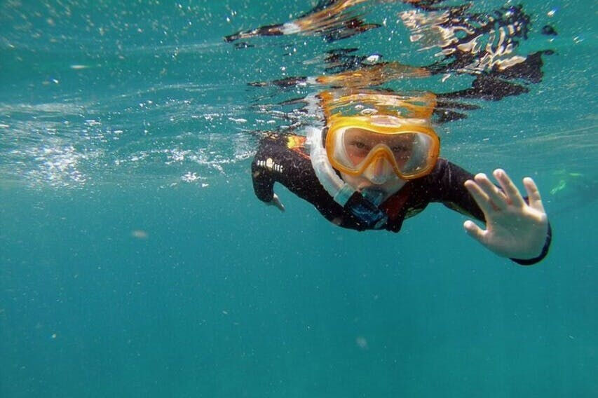 Tenerife: Excursión guiada de Kayak y Snorkel