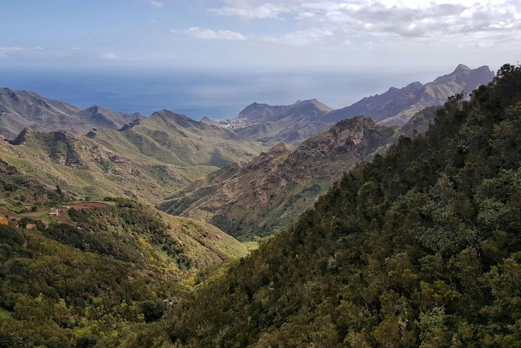 Santa Cruz, La Laguna y Anaga: Visita guiada + Transporte