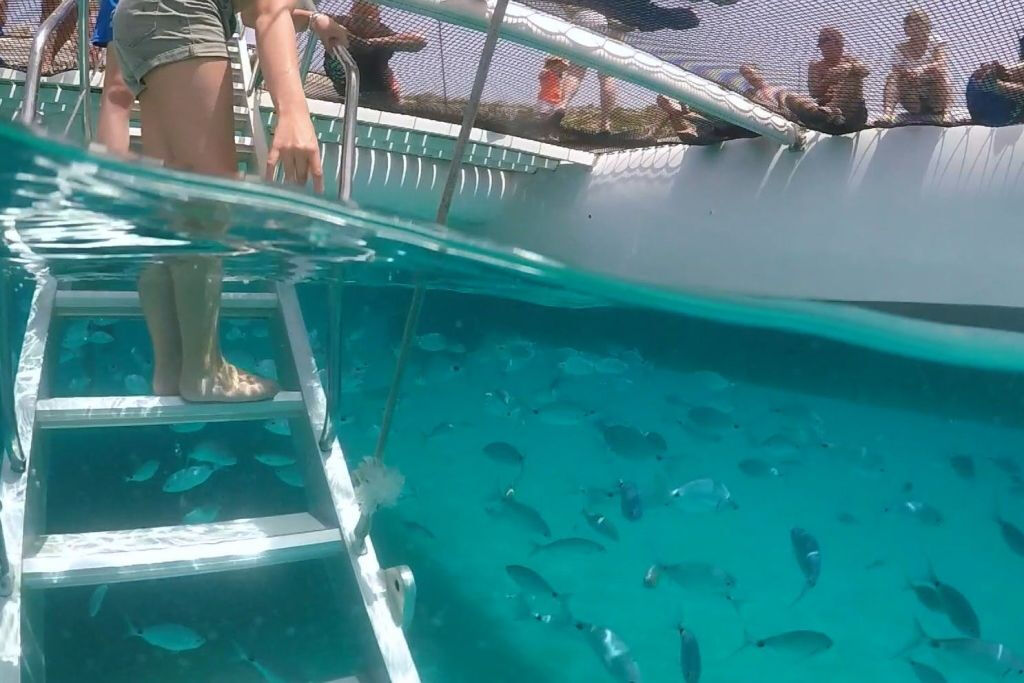 Cap Norfeu y Cadaqués: Excursión en velero desde Roses