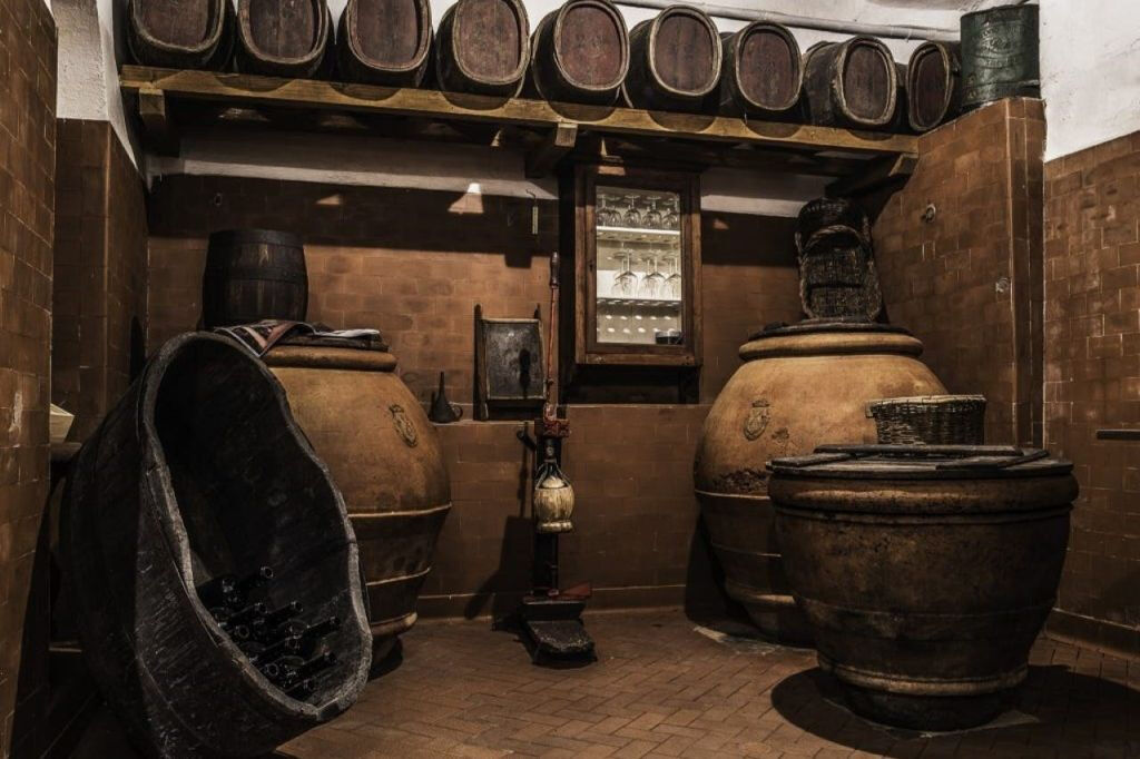 Tenuta Bossi: Visita guiada + degustação de vinhos
