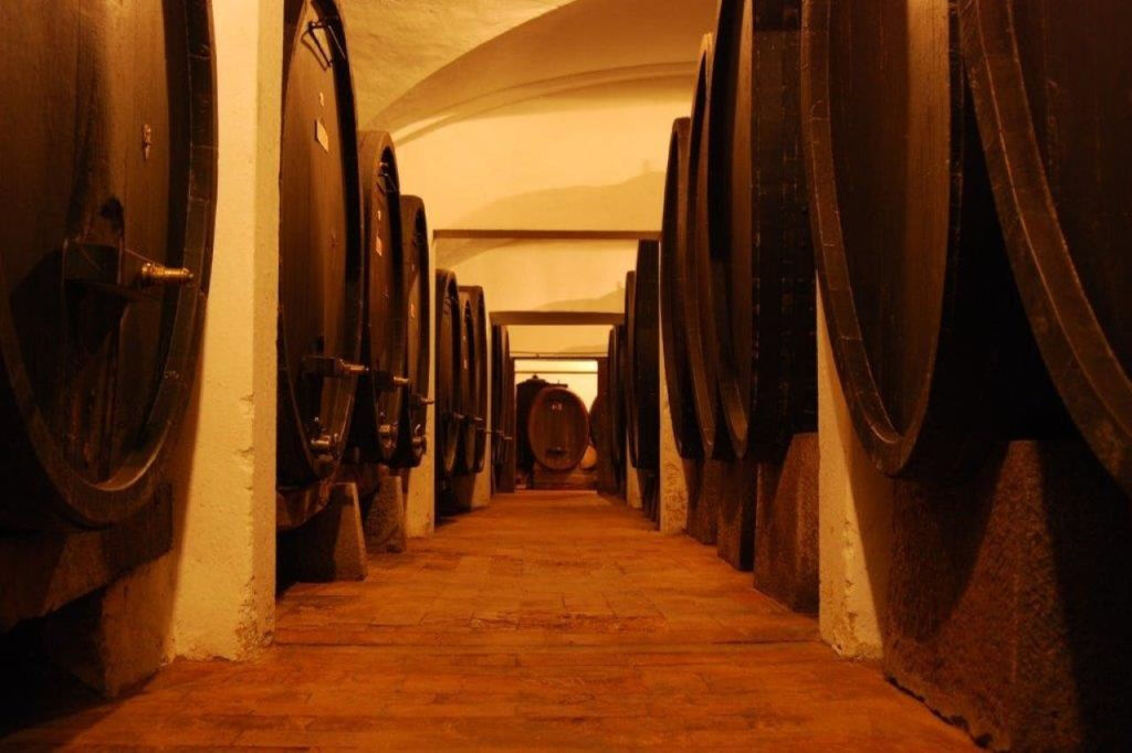 Tenuta Bossi: Visita guiada + degustação de vinhos