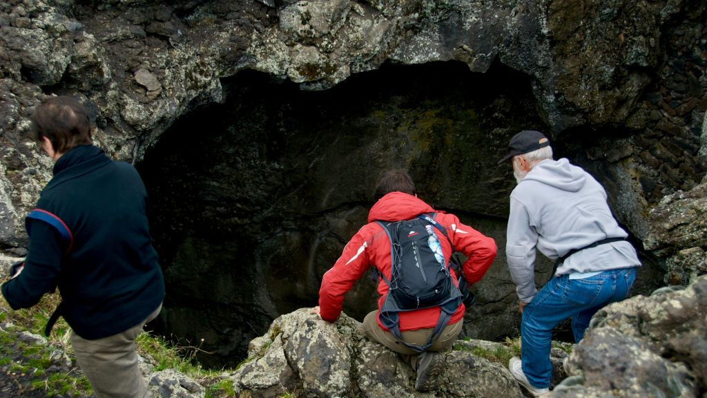 Mount Etna: Guided Day Trip from Catania