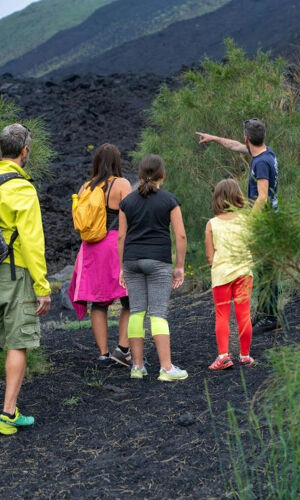 L'Etna: Gita guidata di un giorno da Catania
