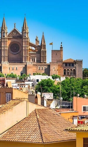 Palma de Mallorca: Recorrido Privado a Pie por los Lugares de Interés