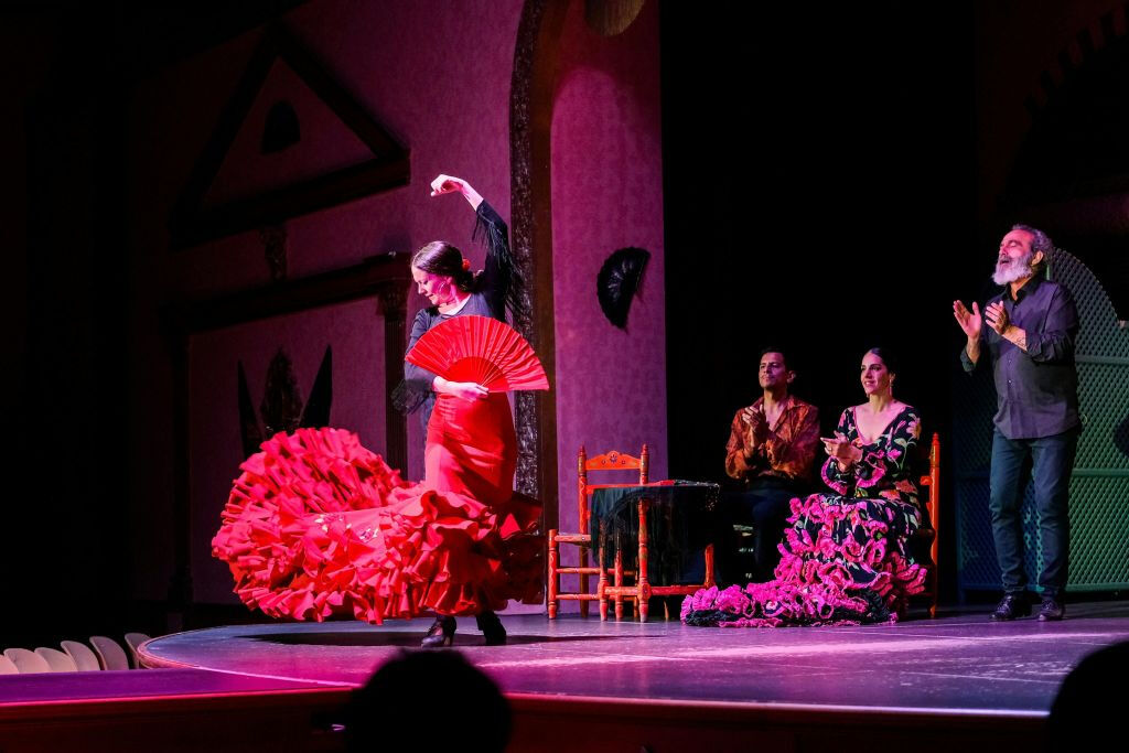 Séville : Musée de la robe flamenco + spectacle + dîner + transferts