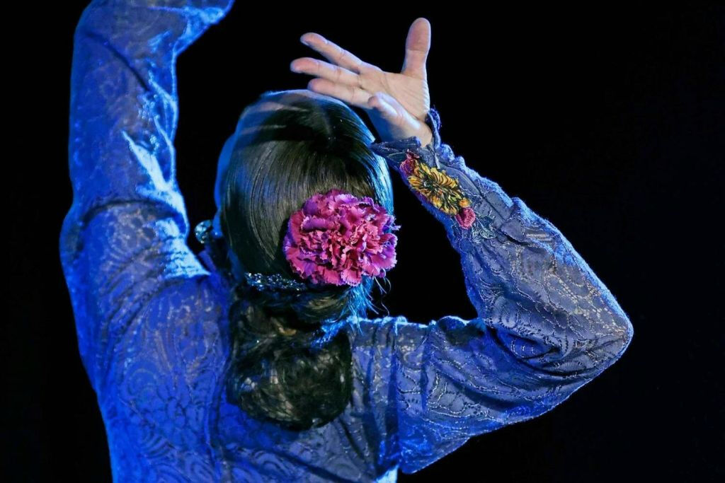 Tablao Flamenco Alma: Spettacolo con drink