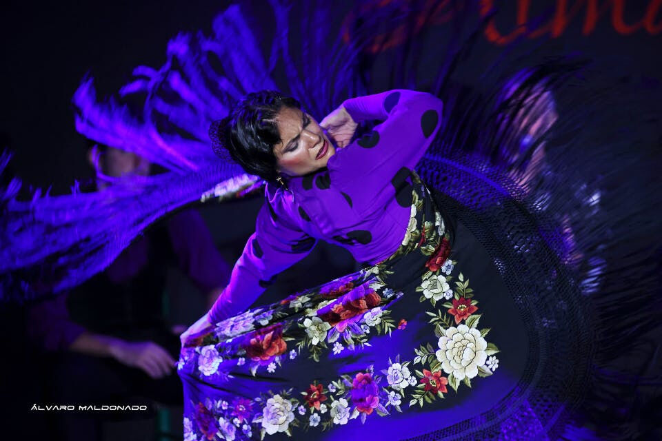 Tablao Flamenco Alma: Spettacolo con drink