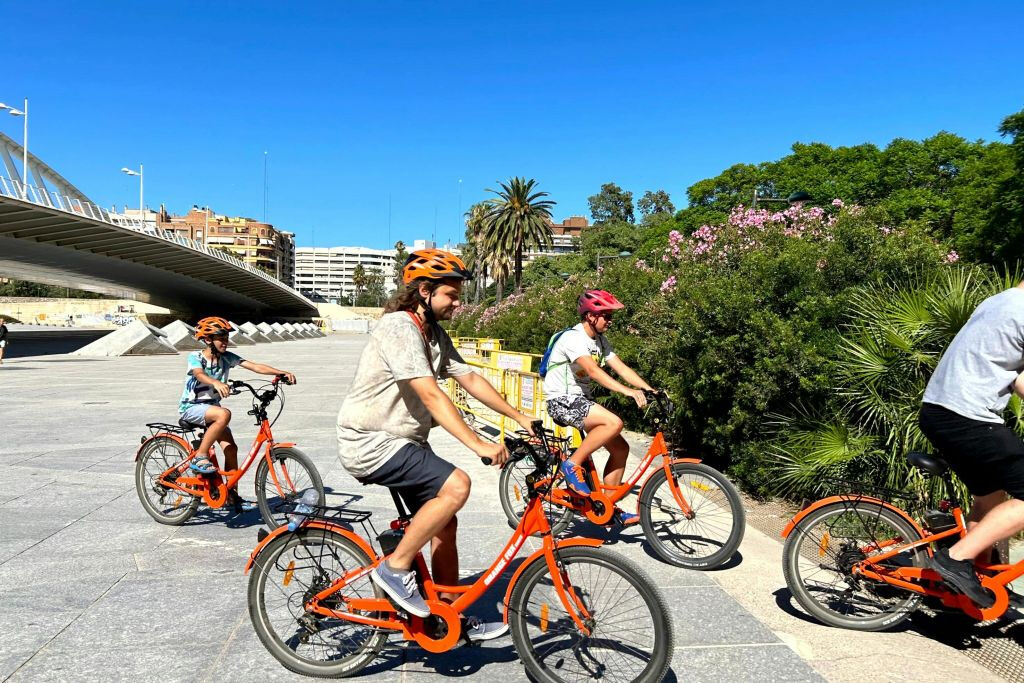 Valencia: Small-Group Guided E-bike Tour
