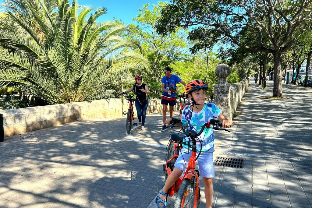 Valencia: Small-Group Guided E-bike Tour