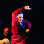 Seville: Guided Food Tour + Flamenco Show