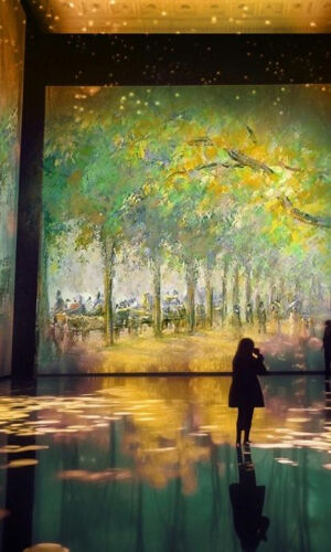 Prossima mostra: Monet e gli impressionisti - Esperienza digitale
